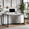 Serene Desk with Filing Drawer